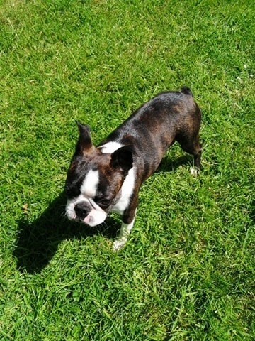 O katioushka of Penny Park