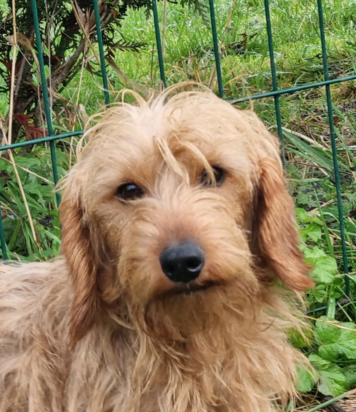 Ulysse Du logis de beaumanoir