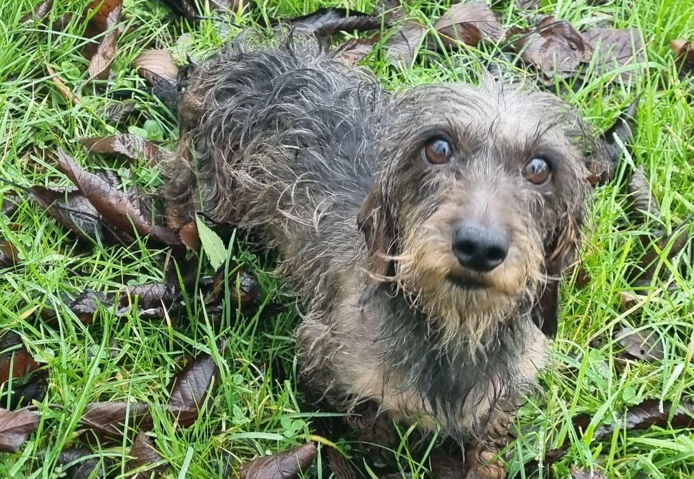 Reste chez toi Du logis de beaumanoir